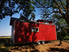 Tinyhouse Tatianason